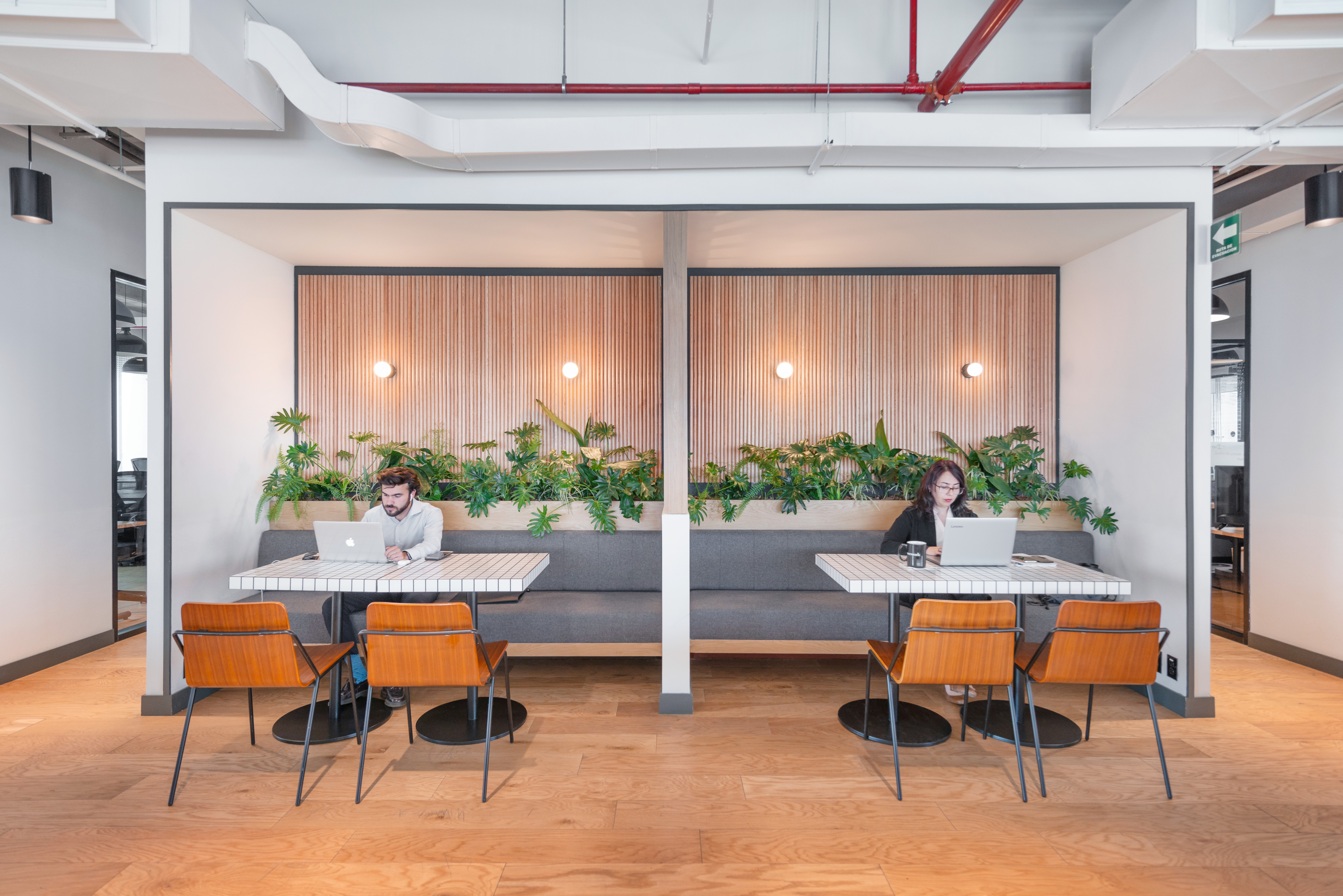 WeWork-Artz Pedregal 3