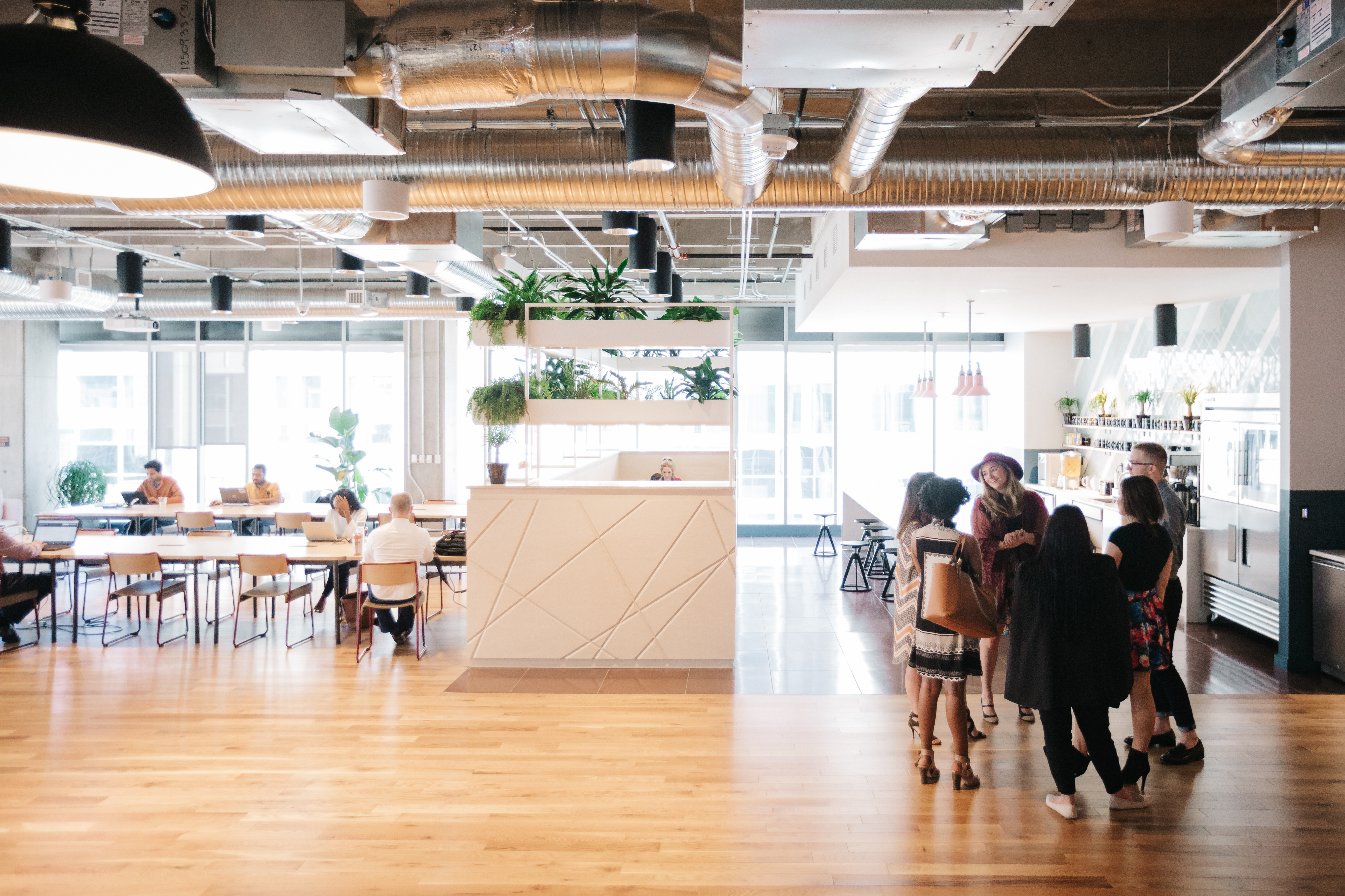Gansemarkt Coworking Office Space Wework