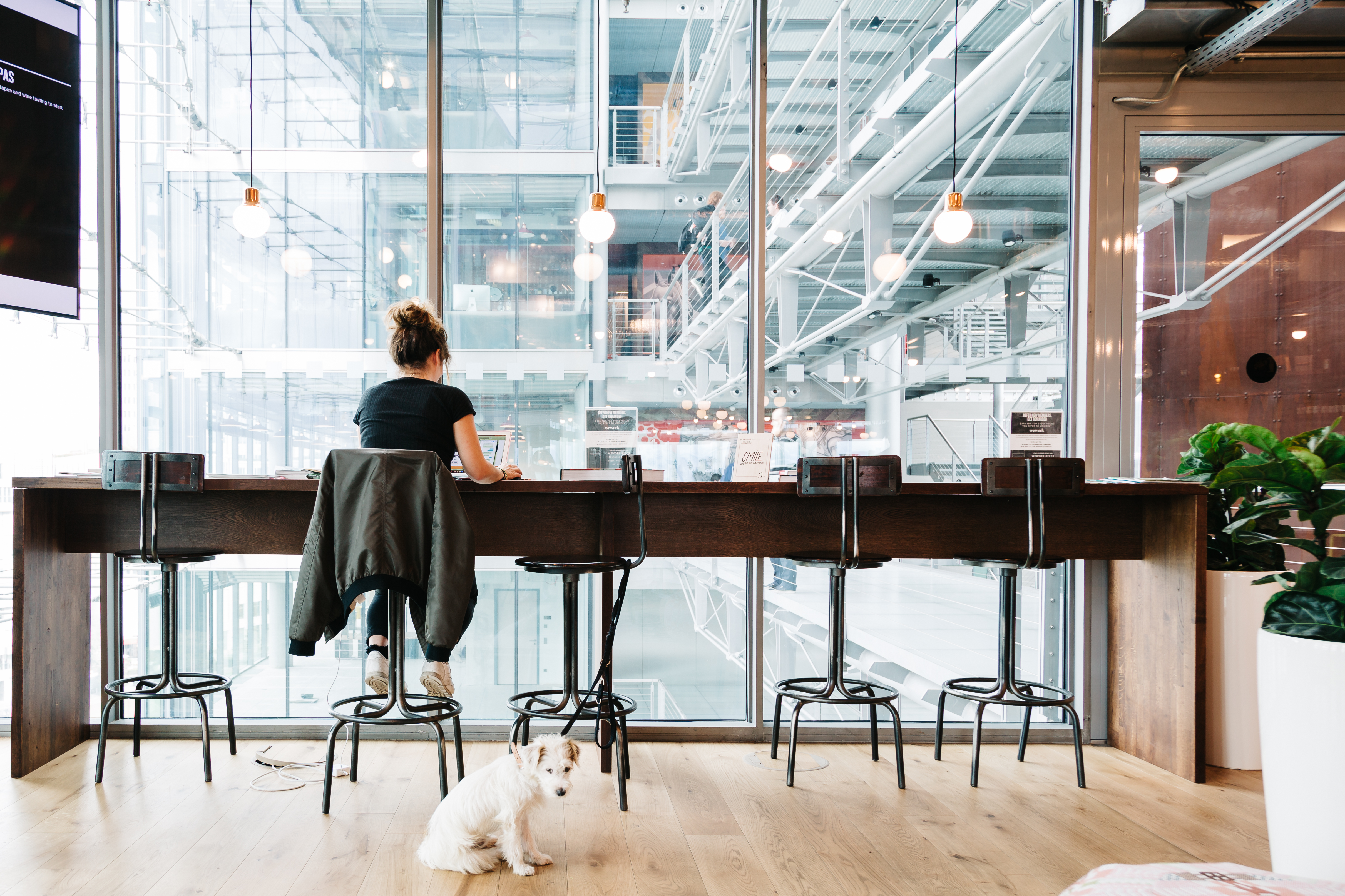 Coworking Office Spaces In Berlin Wework